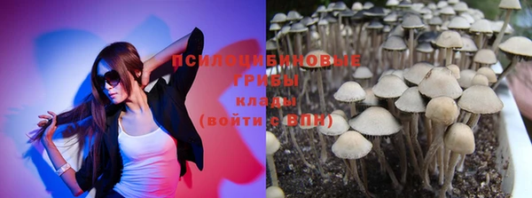 метадон Нея