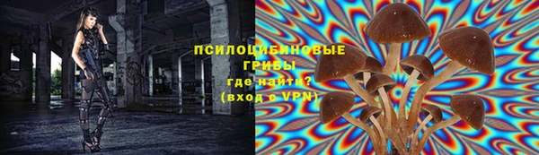 скорость Нефтекумск